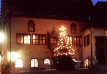 regensburg-sehenswertes-weihnachtmarkt-christbaum